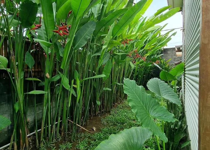 Ferienhaus Tiny House Bali